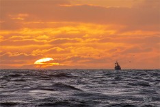 Coming Home at Sunset