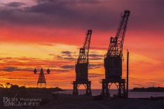 Cranes at Sunset