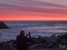 Catching the Sunset