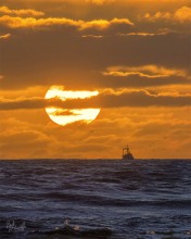 Coming Home at Sunset