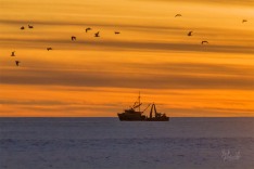 Tasman Sea Sunset