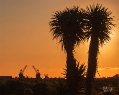 Sunset Silhouette