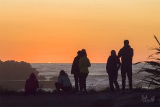 Watching the Sunset