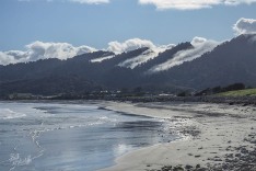 The Greymouth Barber