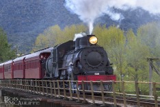 Vintage Train