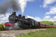Vintage Train