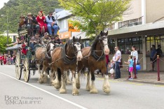 Horse and Coach