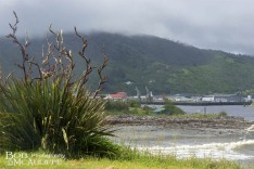 Greymouth View