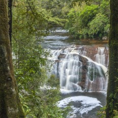 Coal Creek Falls