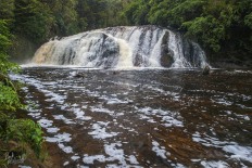Coal Creek Falls in Flood