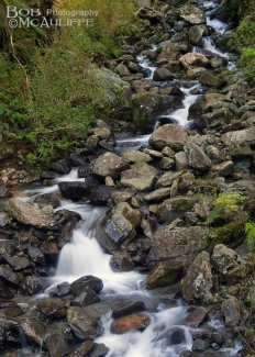 Scott Creek