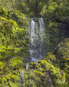 Waterfall at Charming Creek