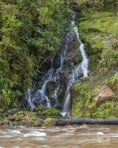 Waterfall in Ten Mile Valley