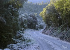 Frosty Road